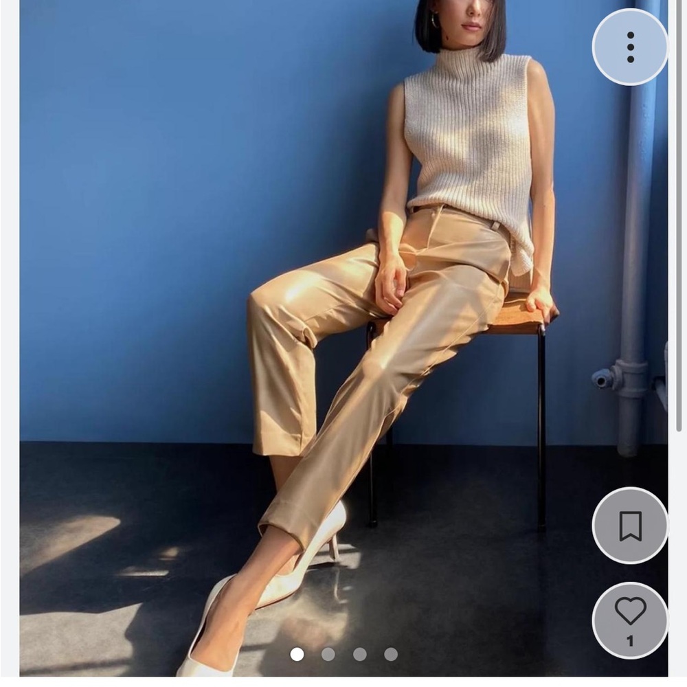 Babaton Aritzia leather crop pant
